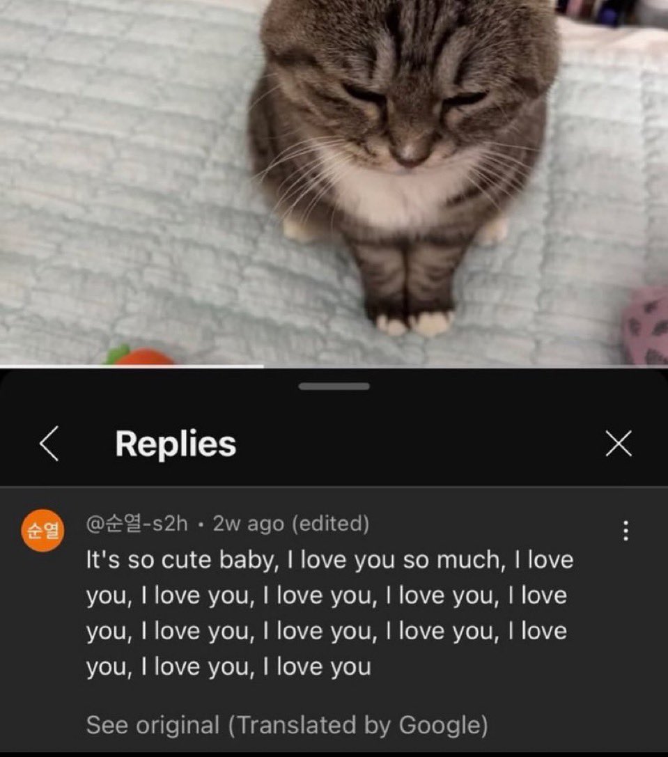 Grayo (#1 remi enjoyer) tweet media