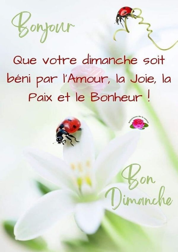 JosetteJ1's tweet image. Bonjour et agréable dimanche à chacun(e) 😘  
Petite grasse matinée
Le ☕☕🥐🍵🥐☕☕
 vous attend 😉
@klingerl
@LisaLsalinger 
@CassinDe23  
@vivi7244  
@schydlowski1 
@ermite2917
@gregos73100 
@66Jeafra  
Météo 6°⛅ maxi 16°🌤
#Printemps