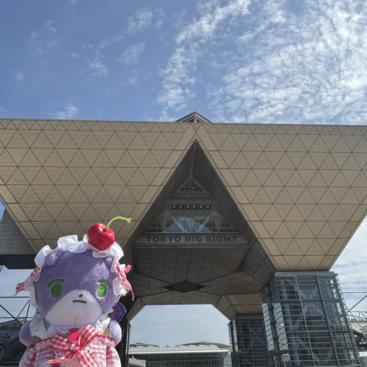 ボイルジョナ倶楽部 tweet media