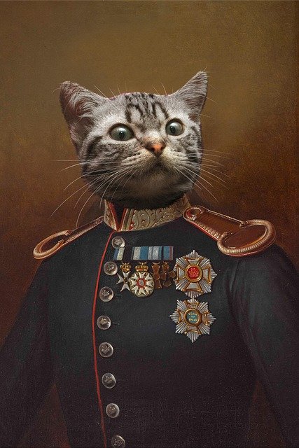 Donald Thompson tweet media