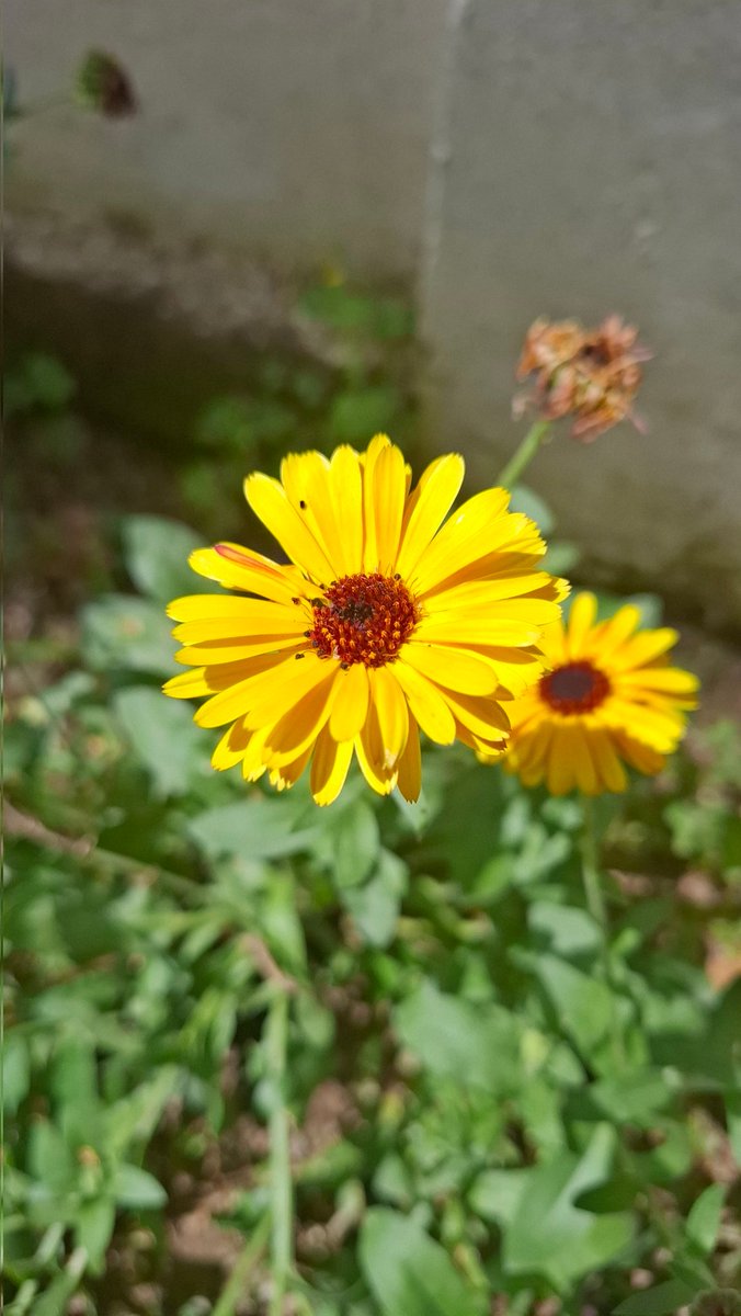 Blissful summer ☀️ 🥰