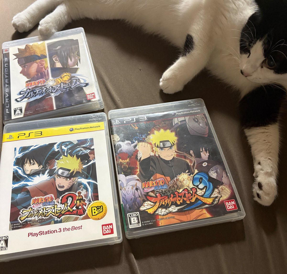 猫宮みんヅ🐱🍖Soleil Gaming tweet media