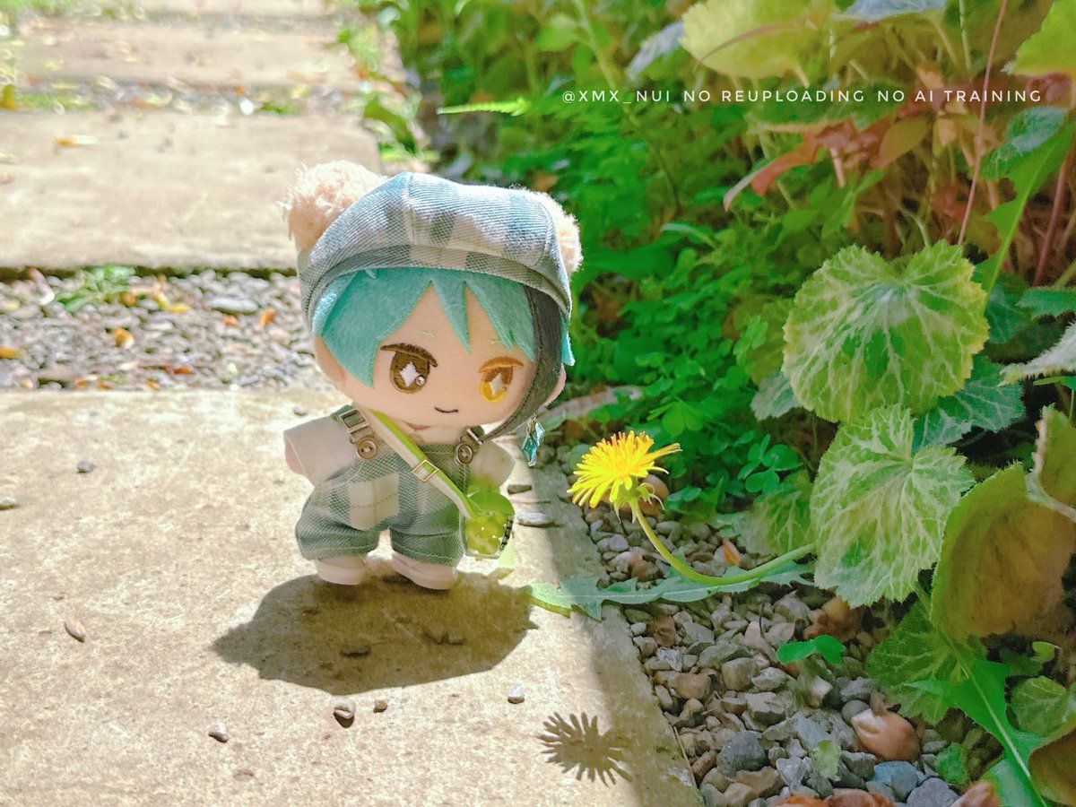 ＊繭＊ tweet media