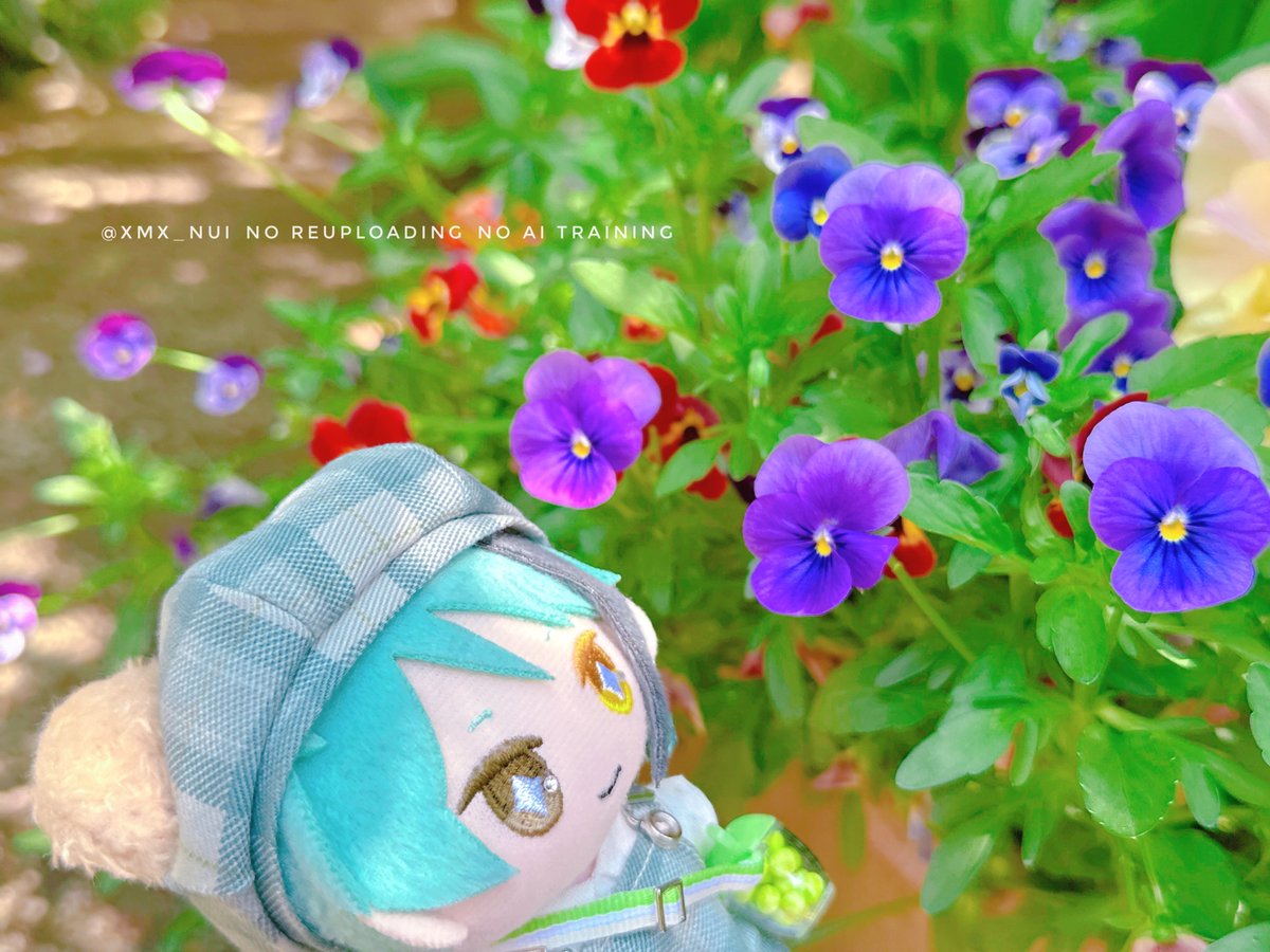 ＊繭＊ tweet media