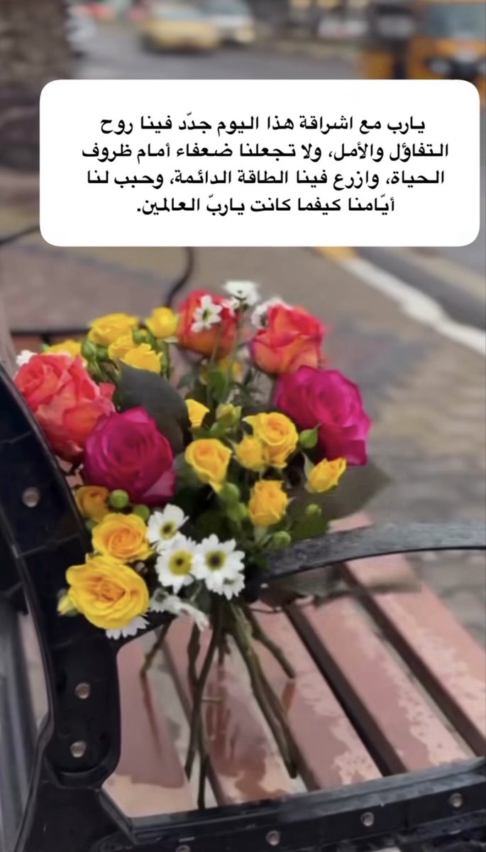 النور دائماً يجد طريقه مهما 
   ازدحمت الأغصان …. #صباح_الخيــــر