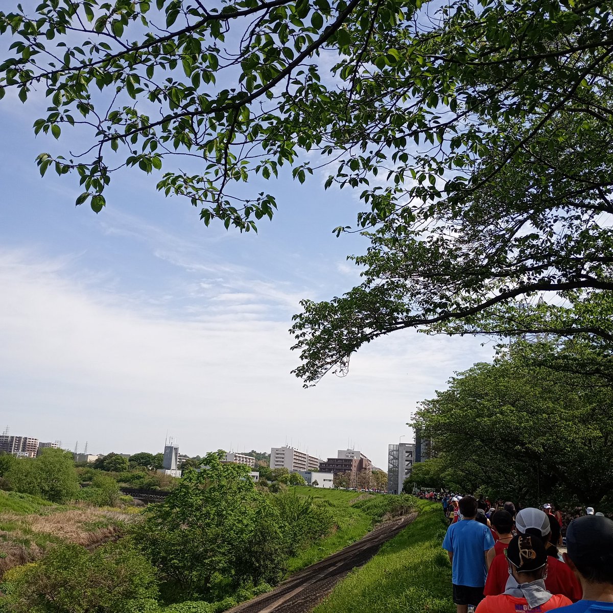 いっちろー🐯🌺 tweet media