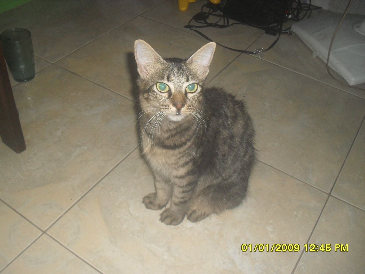 selenophile tweet media