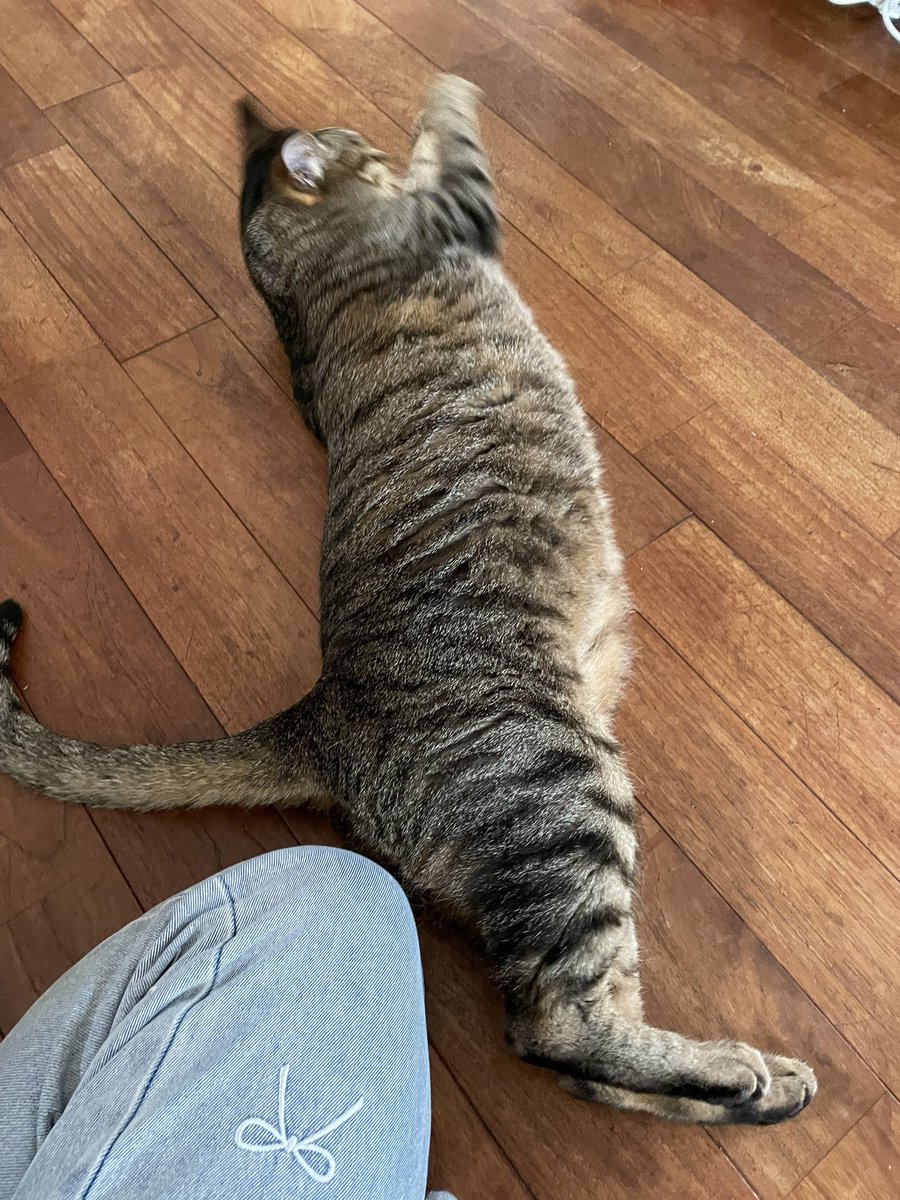 𝑘𝑠𝑚 𓏸𓍯𓂂𓐍𓏸 tweet media