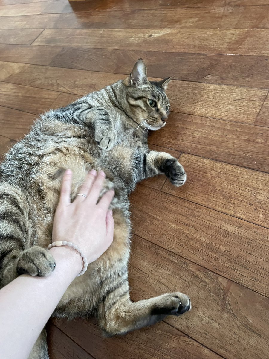 𝑘𝑠𝑚 𓏸𓍯𓂂𓐍𓏸 tweet media