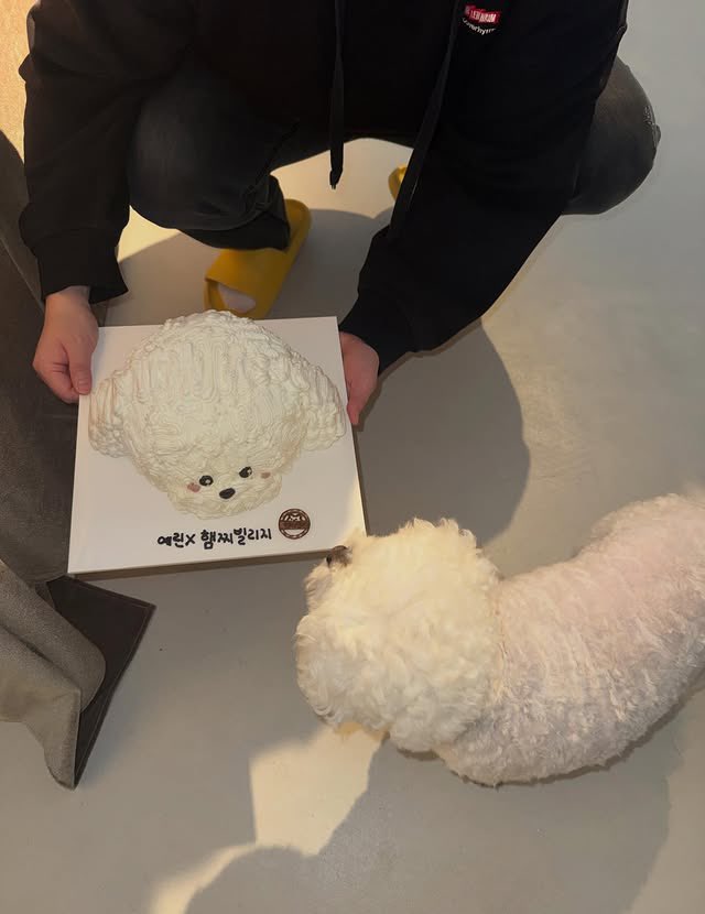 GFS_backup's tweet photo. [PIC] 270419 - Yerin (every__nn) post

🐥Yerin and Hamzzi Village and Happy😸🐹🐶

#GFRIEND #YERIN @YERIN_OFFICIAL_ https://t.co/uEgs5D4B1T