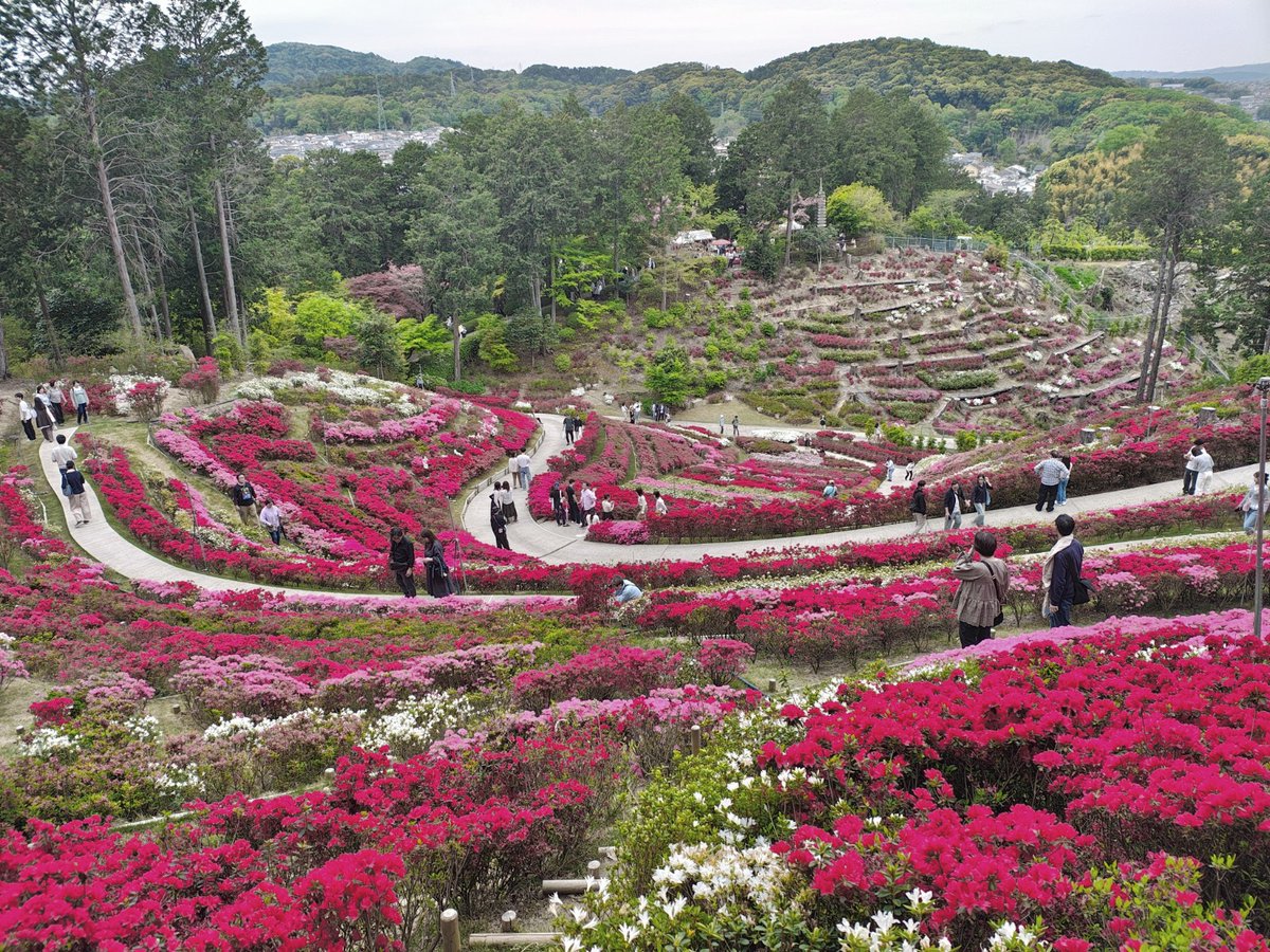 ざんざるぶ tweet media