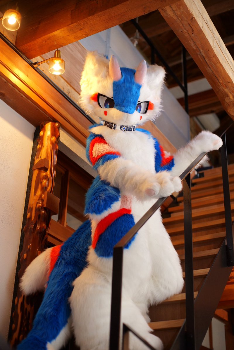 フルン tweet media