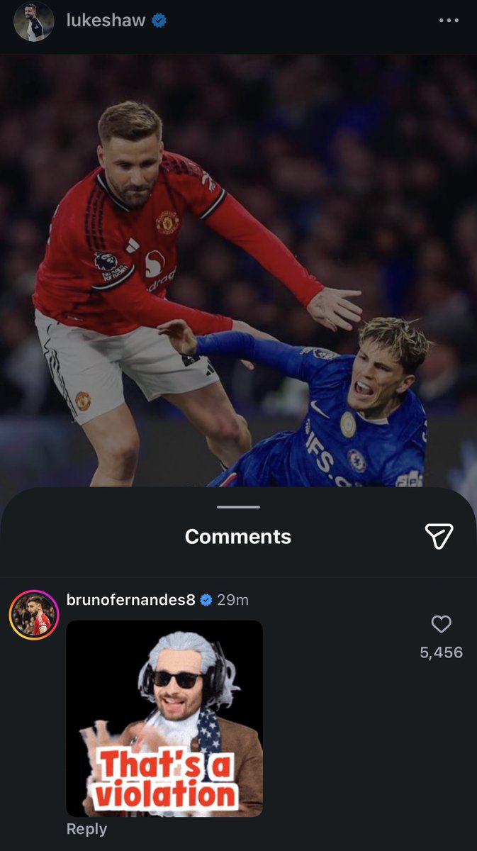 SoN! 🦋💫 || Ignore & Fly 🥂🦋 tweet media