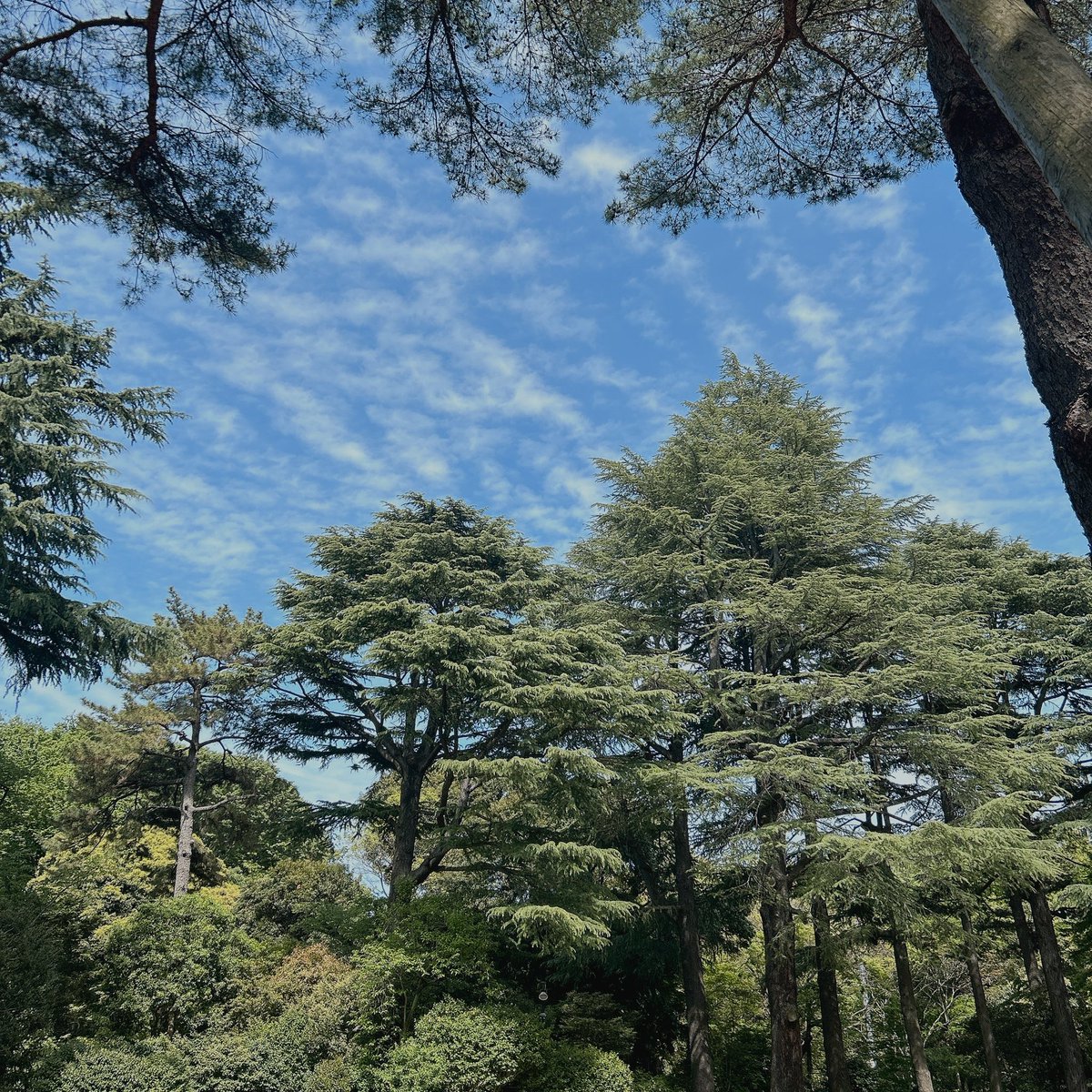 石井　東1さ11a tweet media