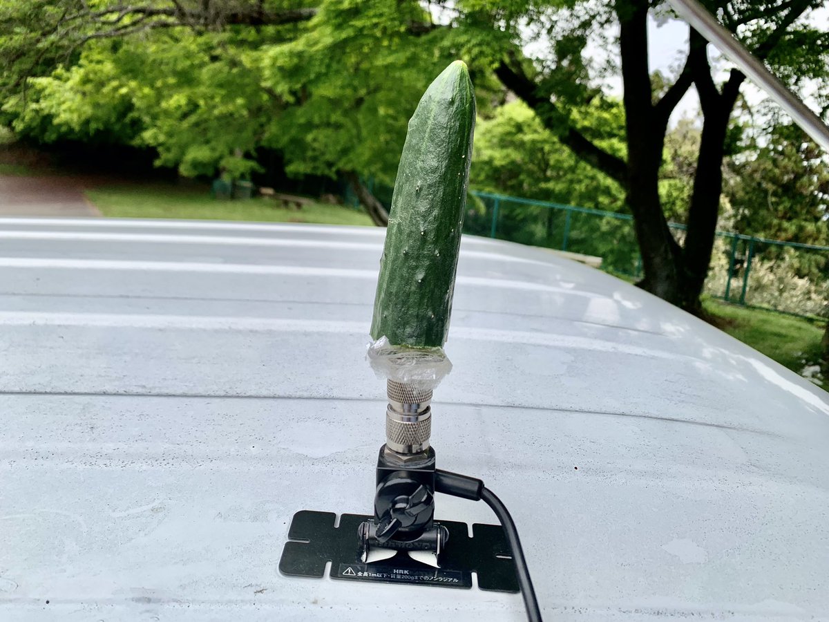 液体アンテナの原理を応用した野菜アンテナ！
適当にキュウリを折って取り付けてみましたが430のSWR 1.5位で安定👍
取り敢えず電波出してみます😆