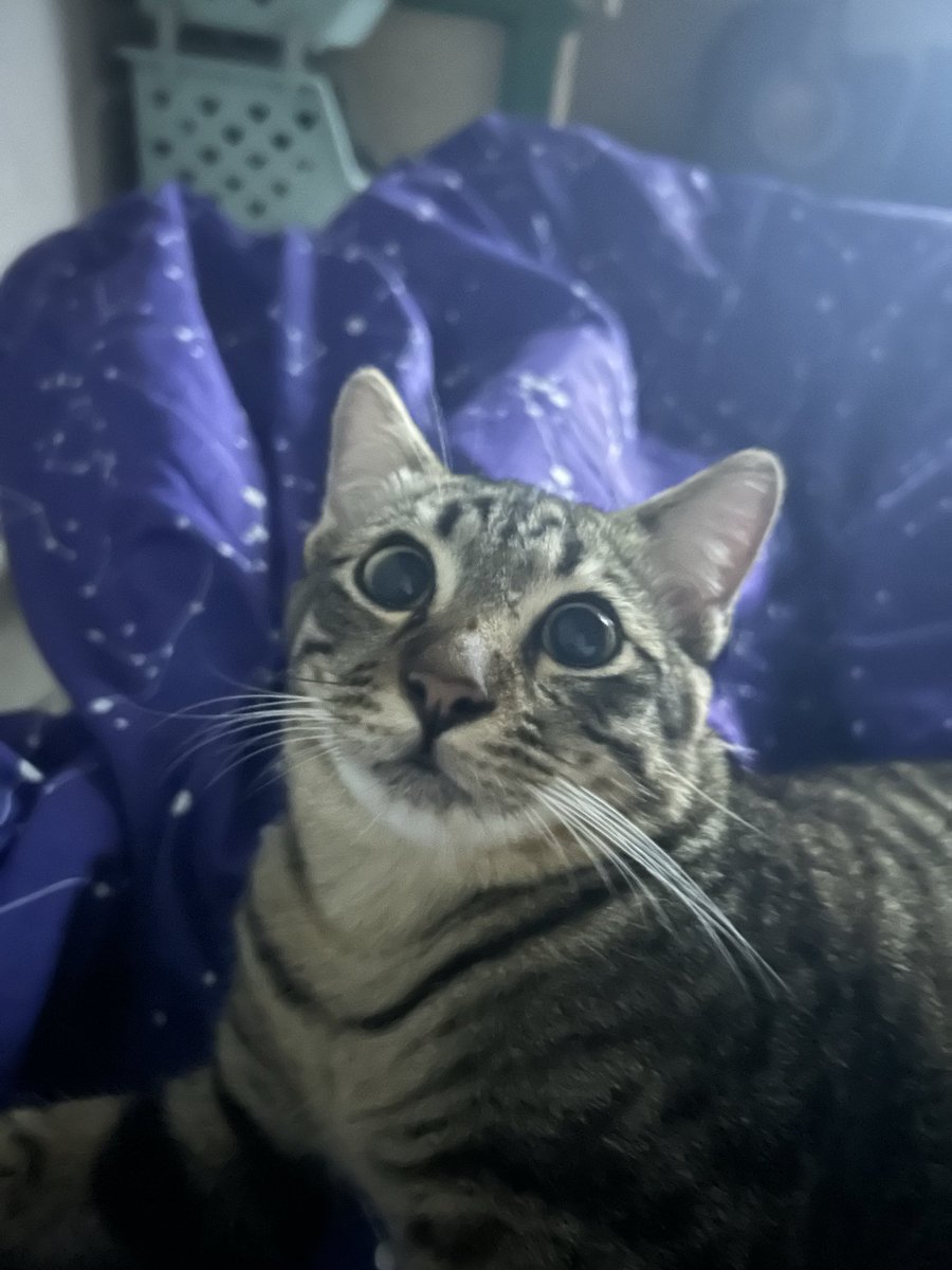 เจ้าชายนอนน้อย tweet media