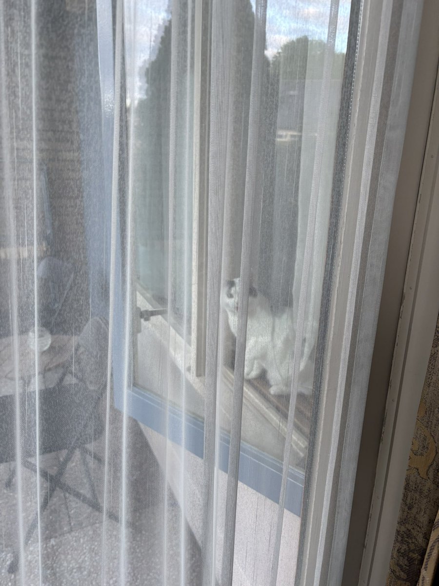 Rob Wolfs tweet media