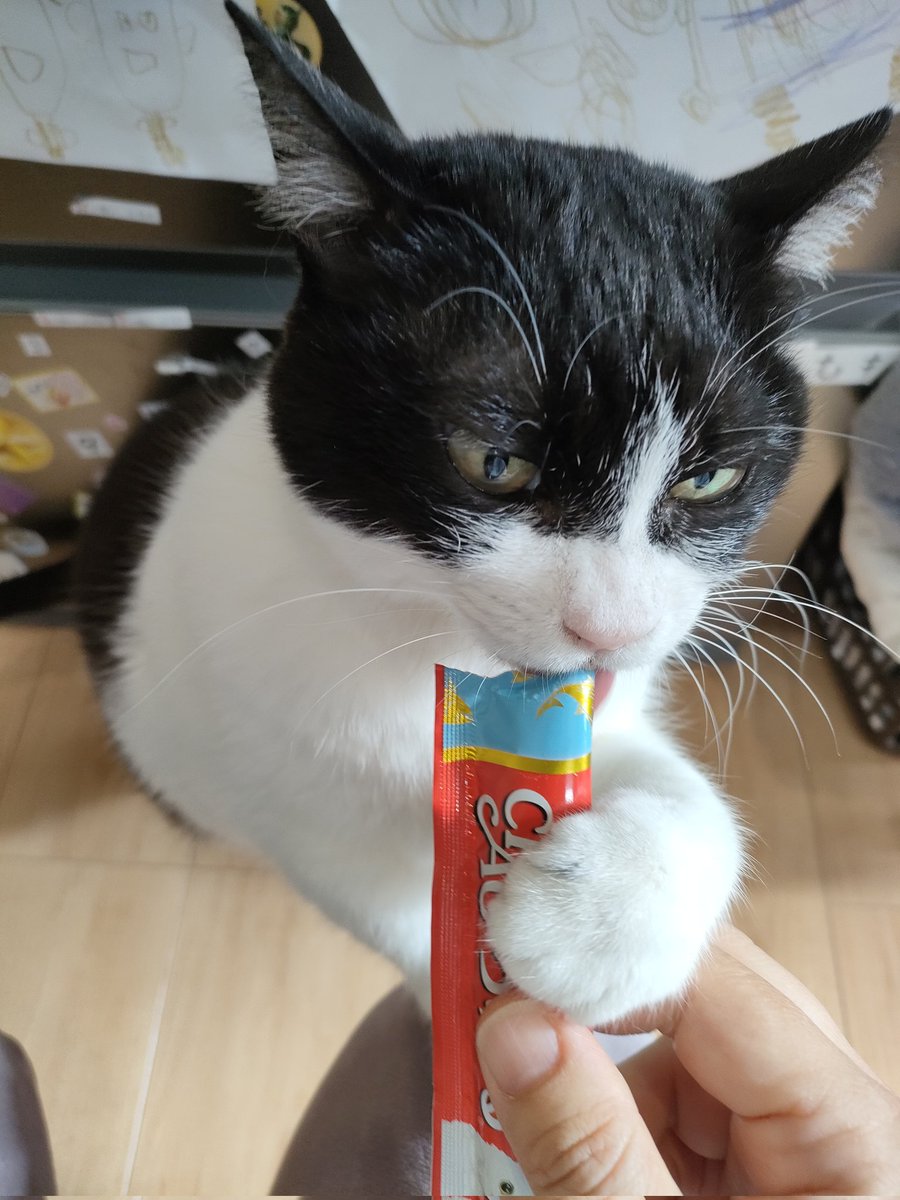 おキヌ子 tweet media