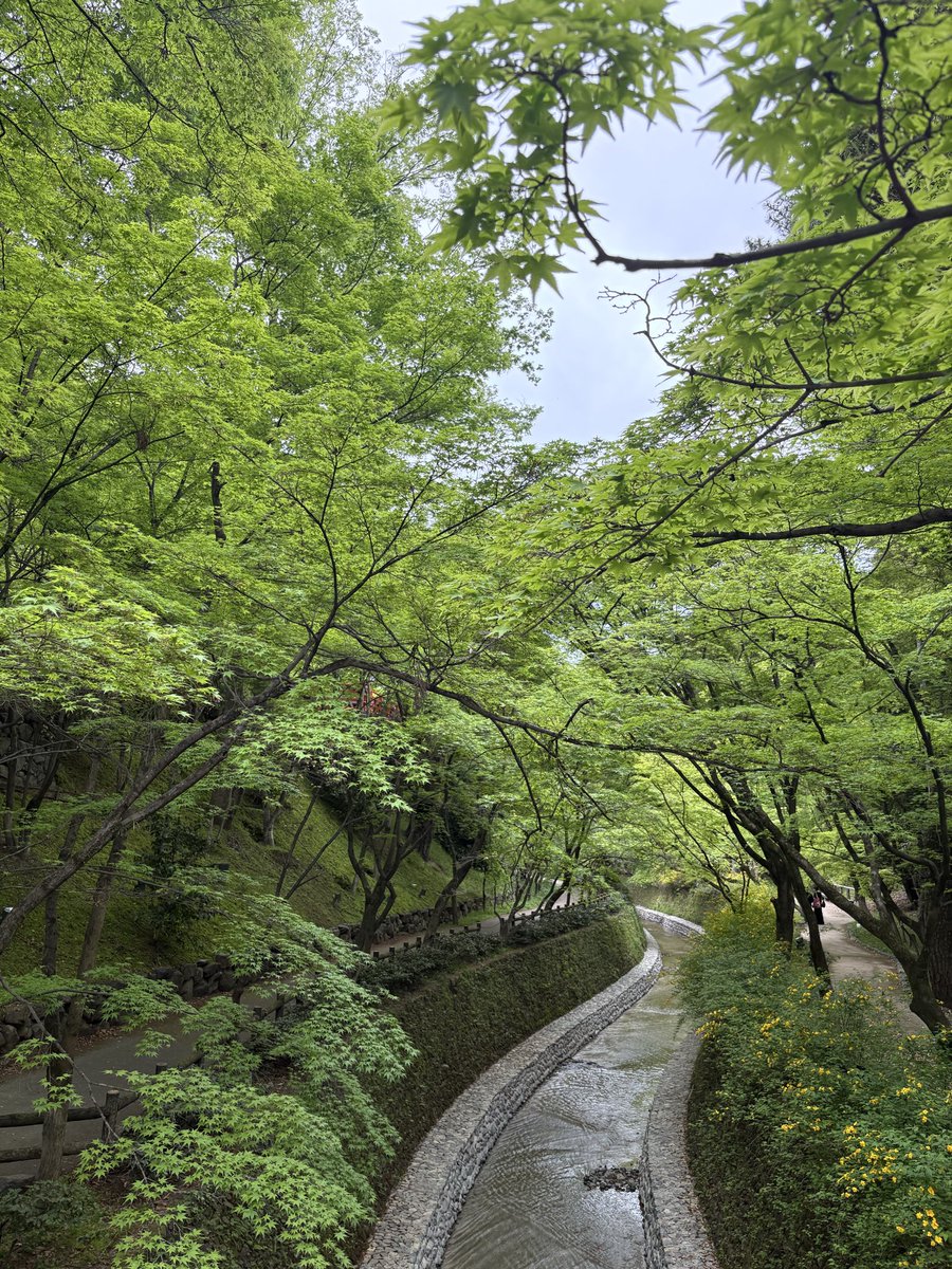 はればれ tweet media