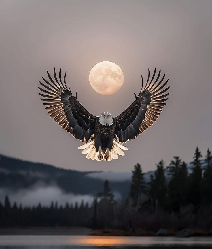 Word space 🧠🫀 tweet media