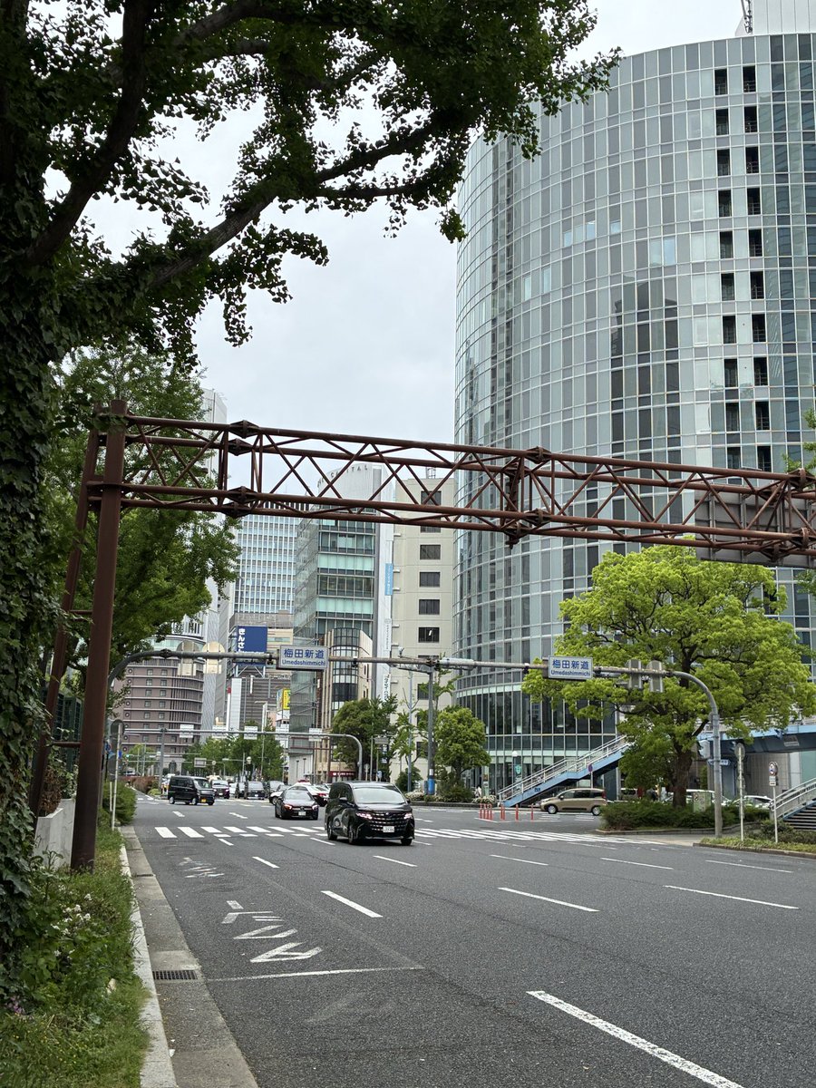 すゑ☆Sueひろ@きやがり隊🫚👺 tweet media