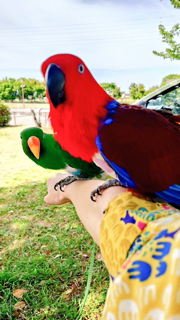 荒ぶる弱酸性 tweet media