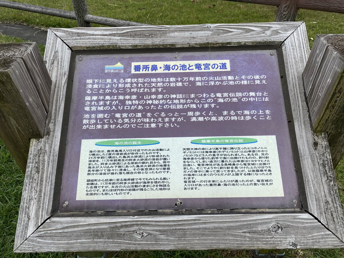 百でR(ひゃくであーる)🎏⚽️🍞 tweet media