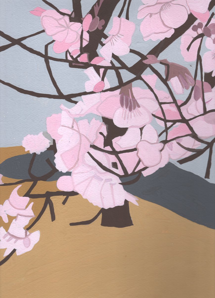 早咲きのサトザクラ。
2026/4/19
#花　＃flower   #春　＃spring   #桜　
＃蓑島えみ　＃emiminoshima    #minoshimaemi
#イラスト　＃イラストレーション　＃illustration 
#painting     #絵