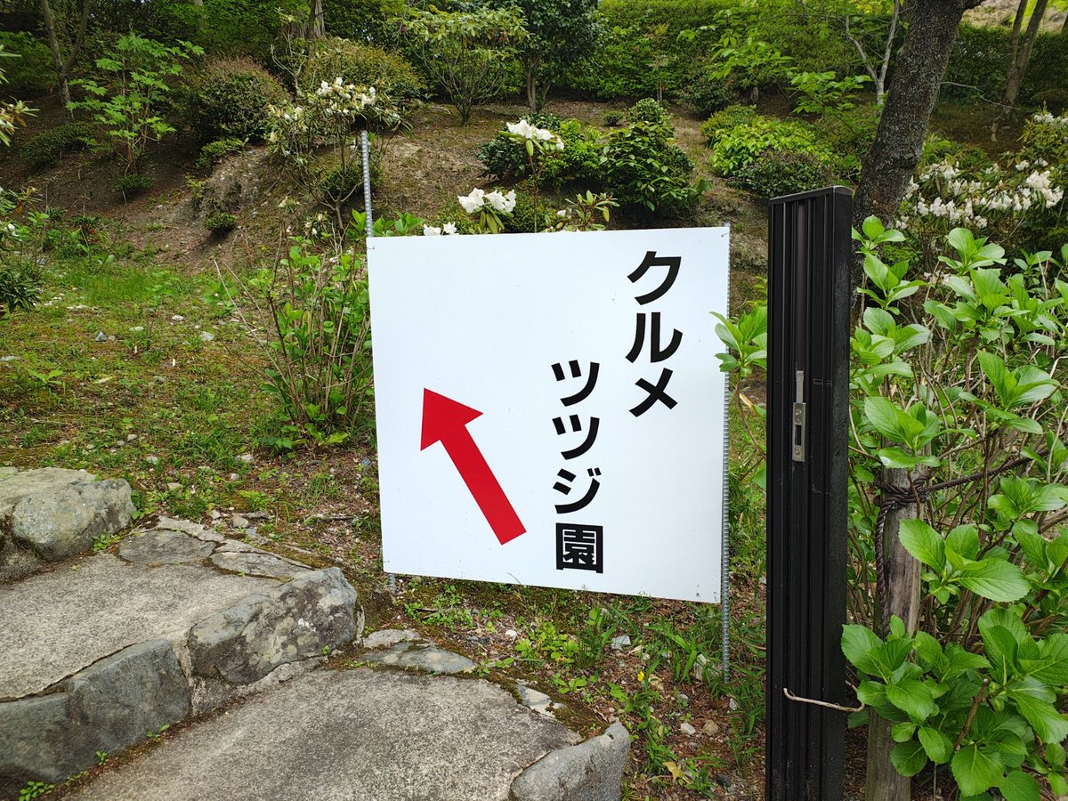 ざんざるぶ tweet media