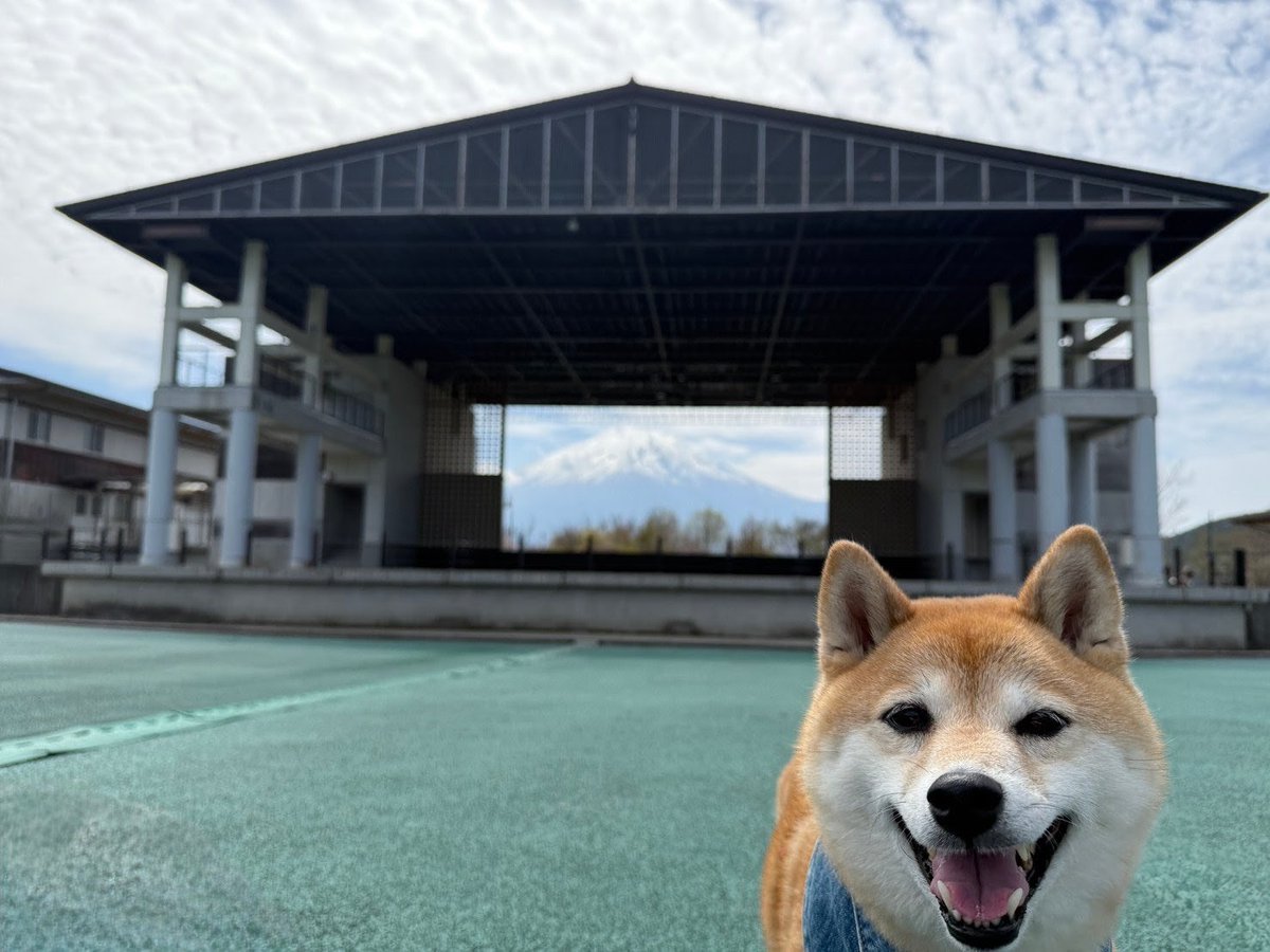 § MAOH § tweet media