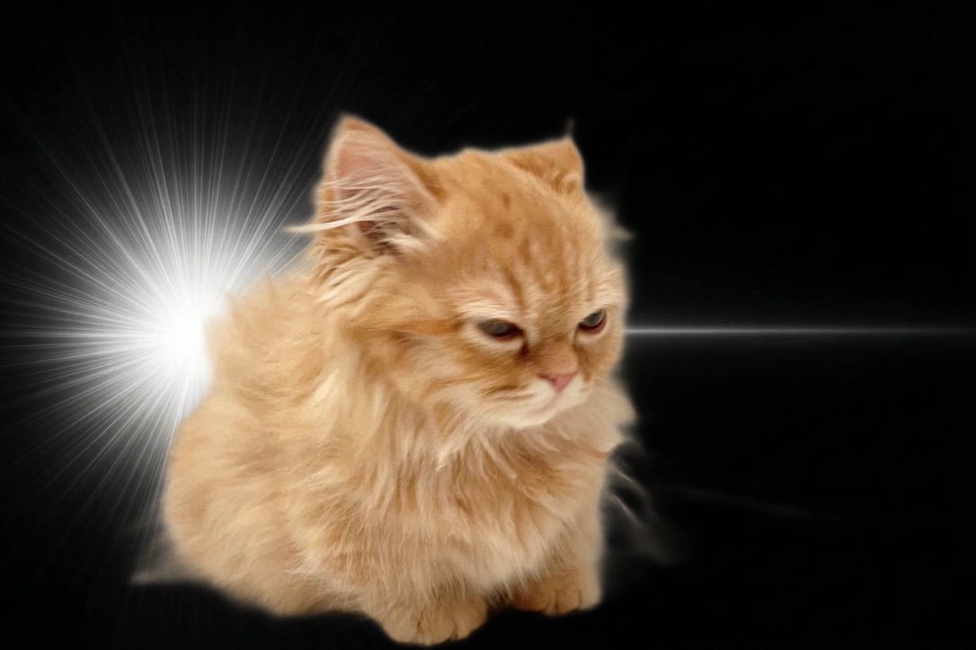 FluffyPants tweet media