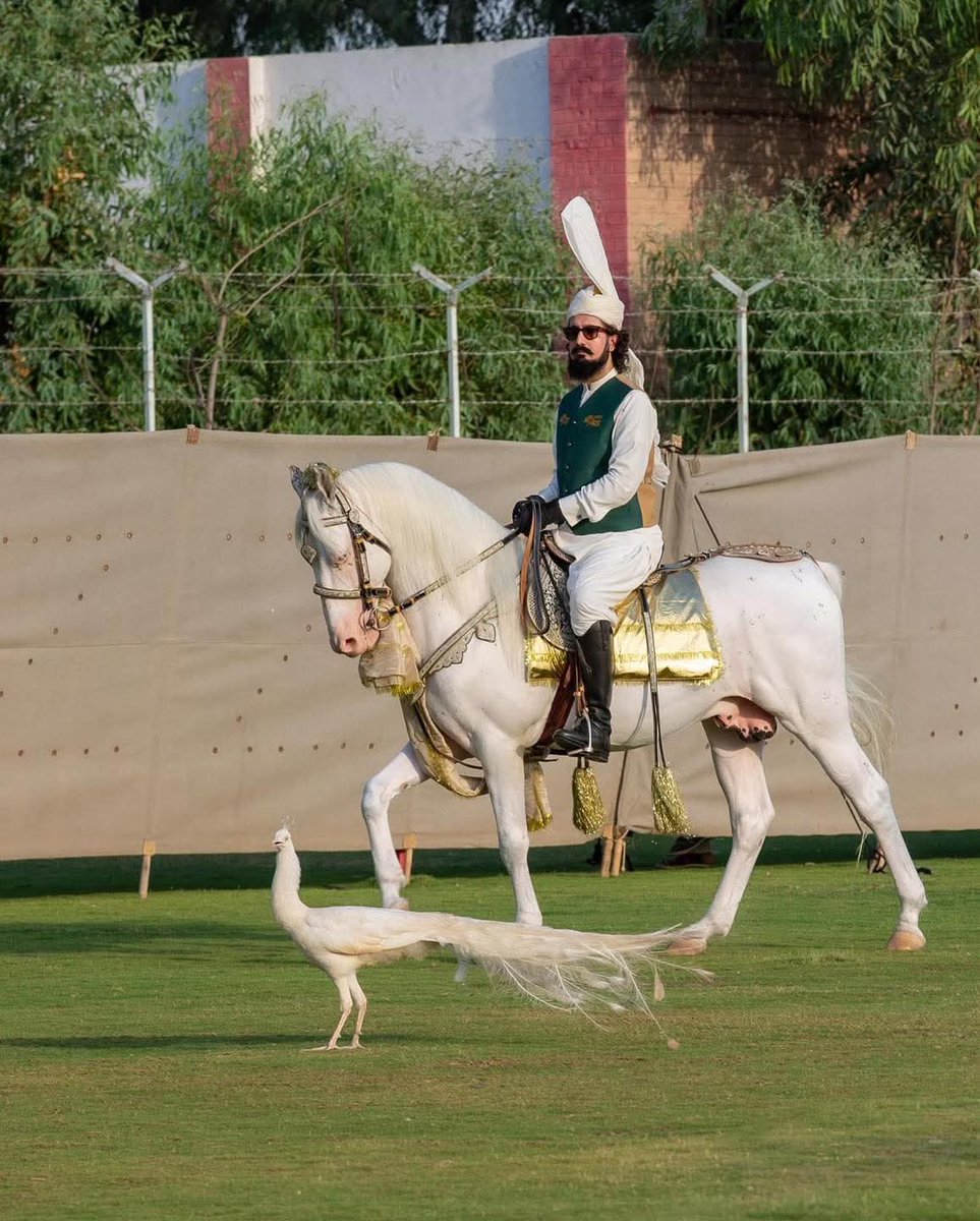 Proud Moments For Pakistan 🇵🇰 
Sahibzada Sultan M Ali Sahb
#SultanVicePresidentITPF
#SultanRisesAgain
#GreenFlagRisesAtITPF