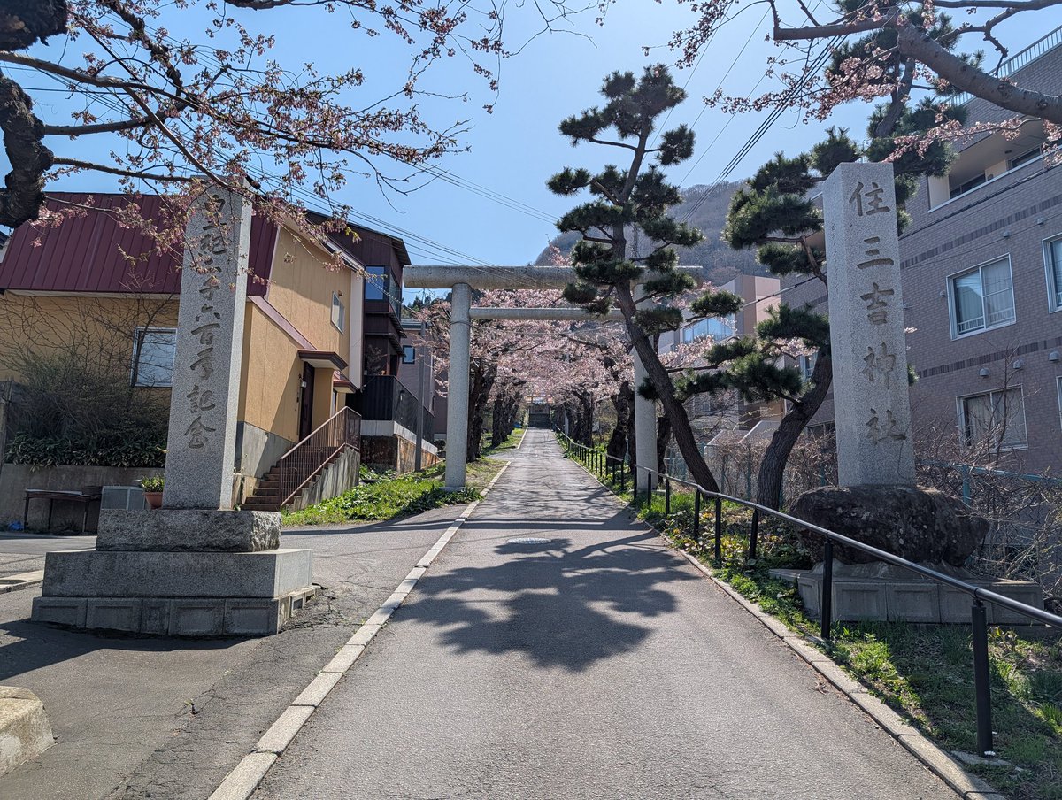 ton_iberico's tweet photo. 住三吉神社はこんな感じ https://t.co/7MtlC0Mmng