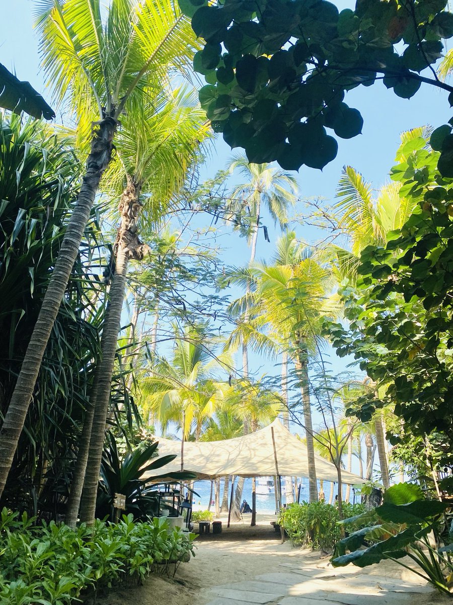 Luxeplorer's tweet image. Majahuitas Beach #beachclub #secludedbeach #tropical