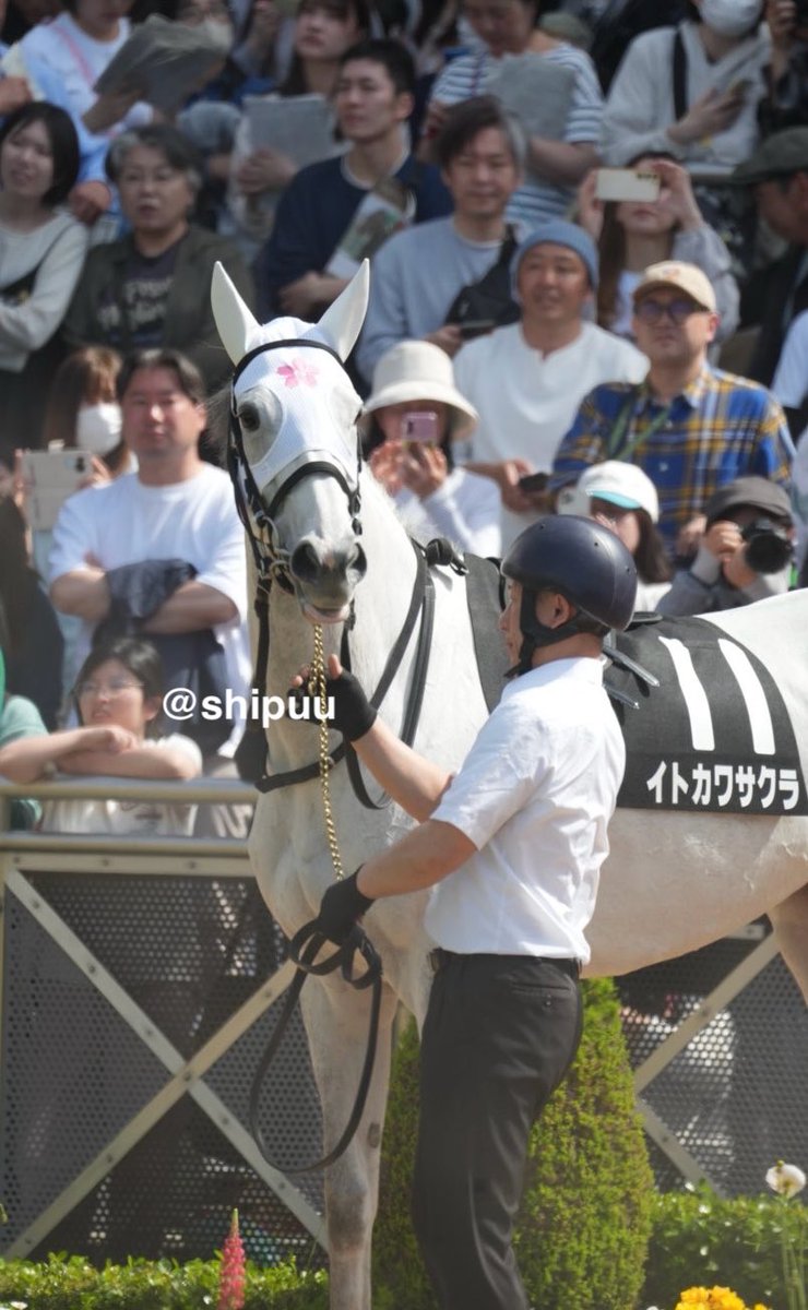 しっぷ-ˏˋ 🖤🐴 ˎˊ- tweet media