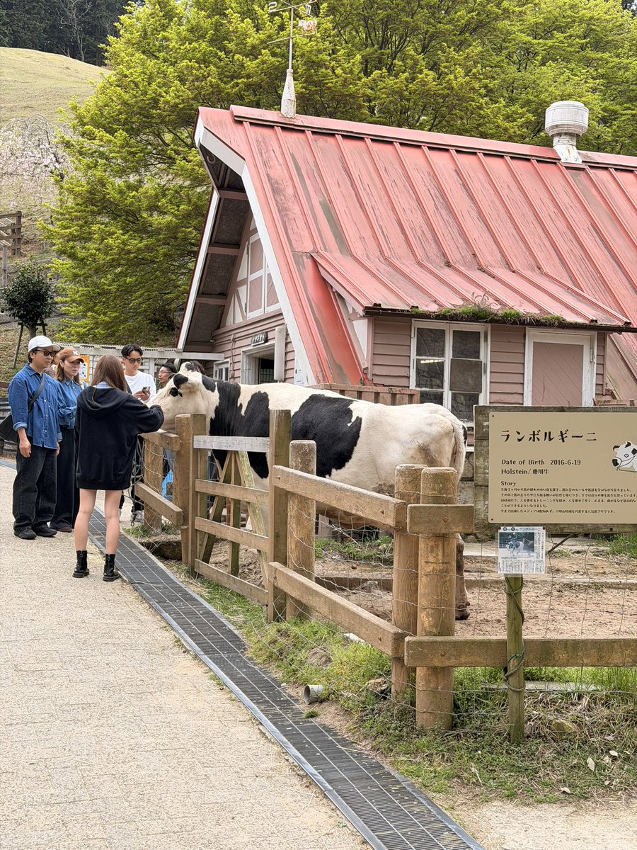 SABA🐟 tweet media