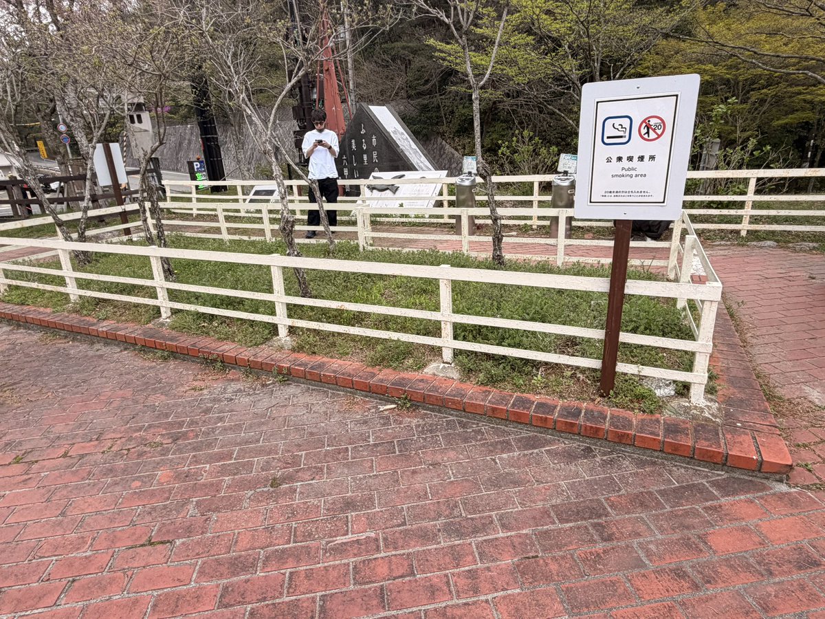 SABA🐟 tweet media