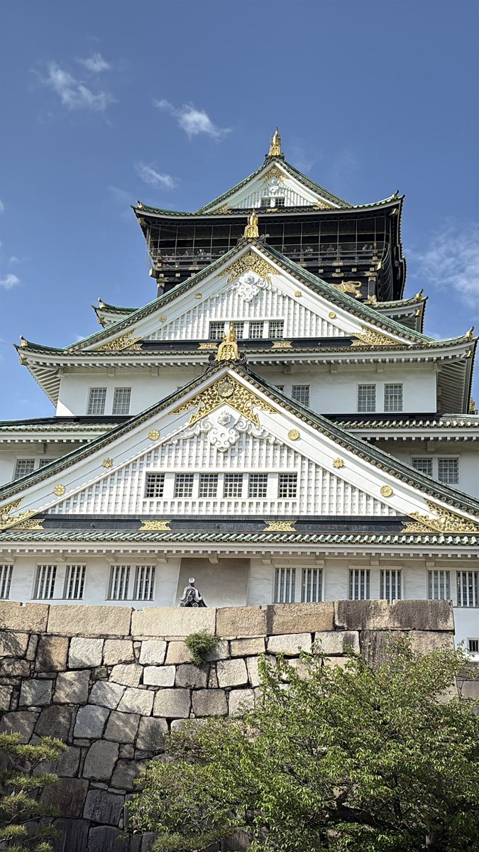 レディントン🐚🌓 tweet media