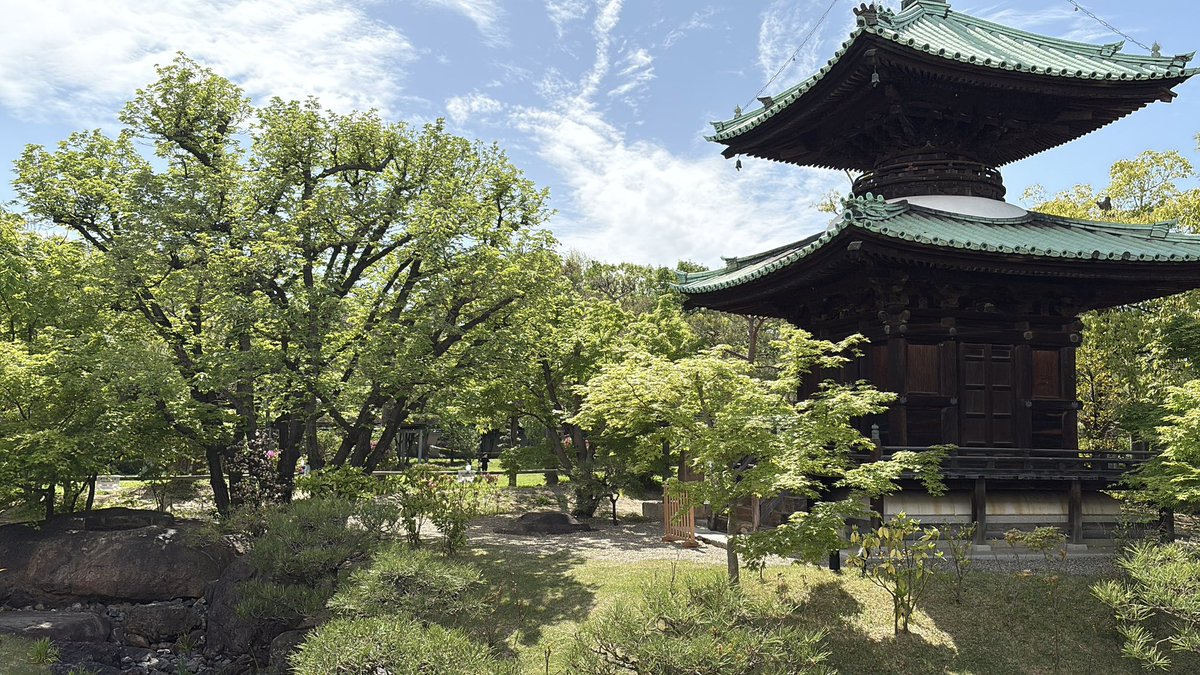 レディントン🐚🌓 tweet media