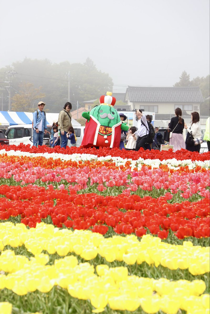 ジャンボ～ル三世🍉富山県入善町 tweet media