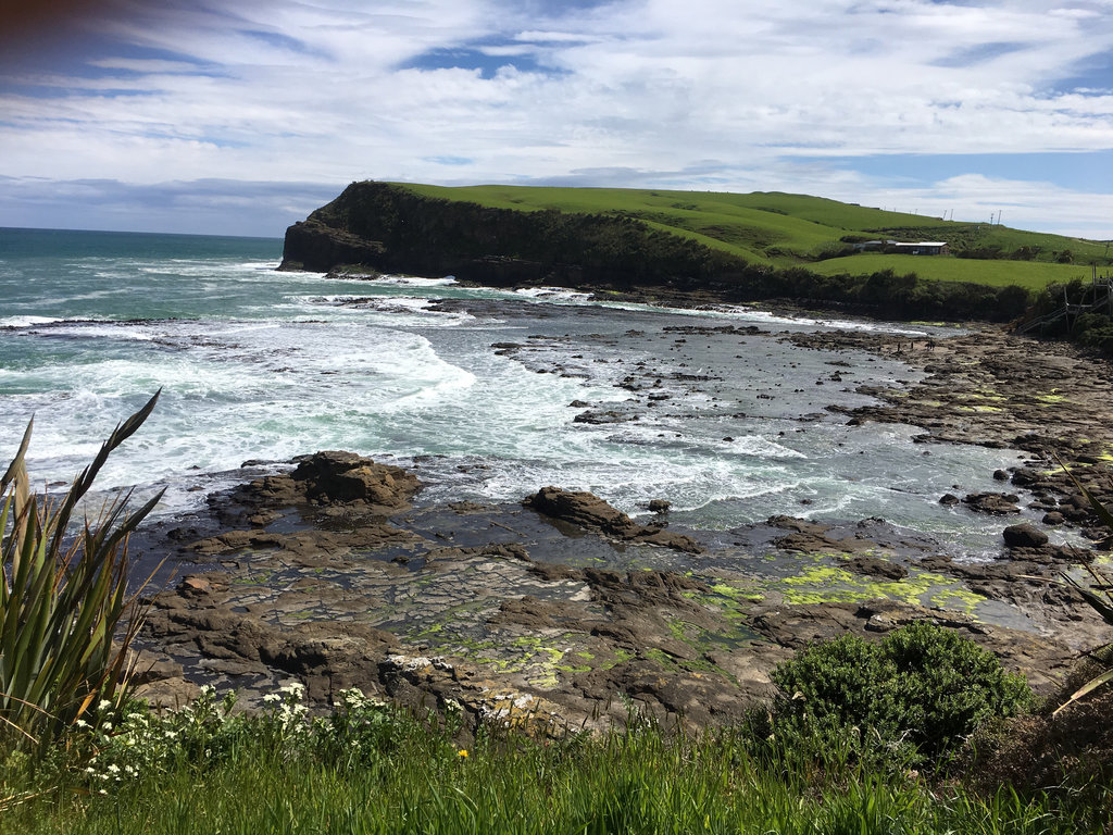 MyGuidedTours's tweet image. #Tour du Jour It's a Walk near #Papatowai, NZ.00, New Zealand! View here: MyGuidedTours.com/tours/new-zeal… #TourGuide