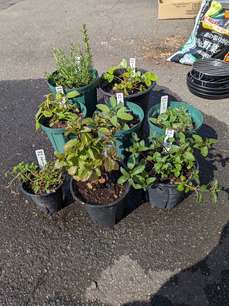 shall〜北国の室内ハーブ園 tweet media