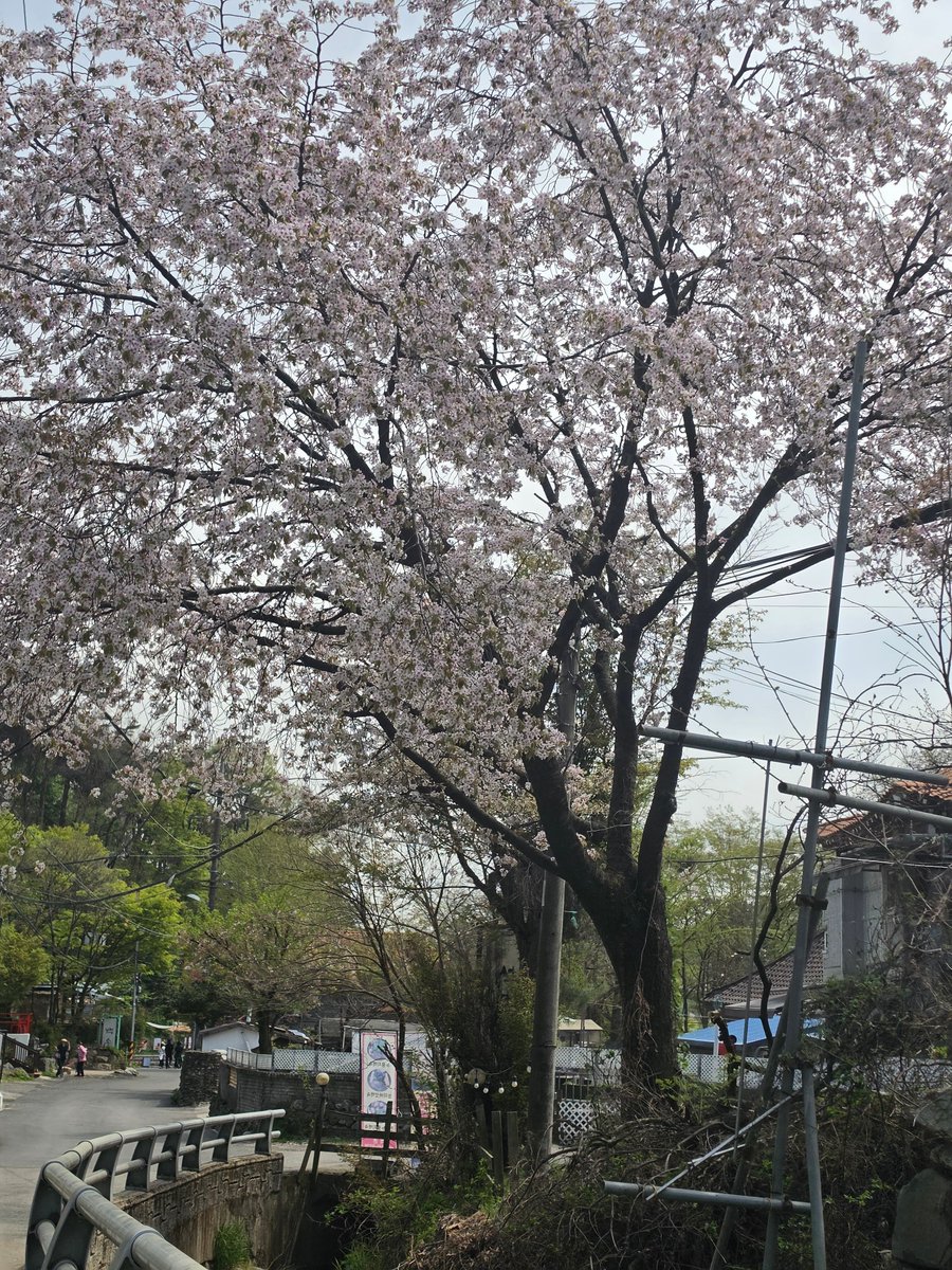 JuA_YOON0321's tweet photo. 260419 
국청사에서
우리빈이 보러 왔비니❤️ #문빈 #MOONBIN 

#문빈_가수해줘서_고마워 https://t.co/0ELGb3DtmO