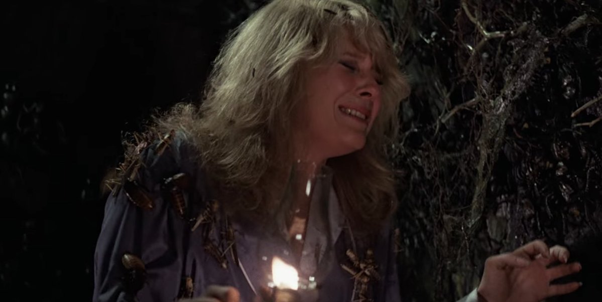 かにたま🦀 tweet media