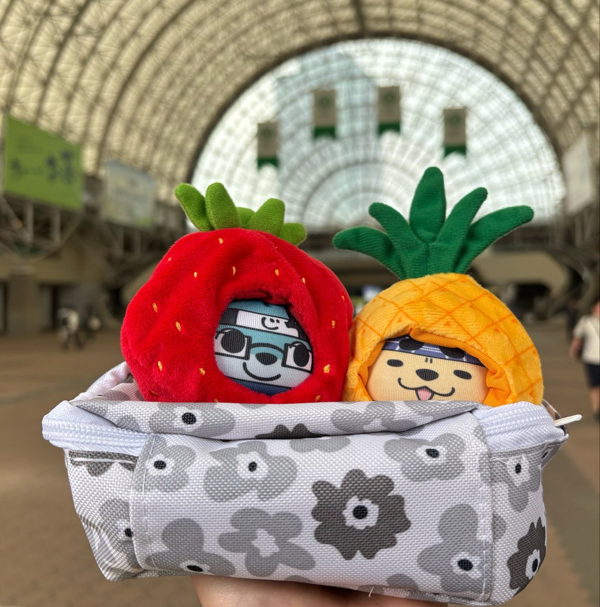 カクシノ tweet media