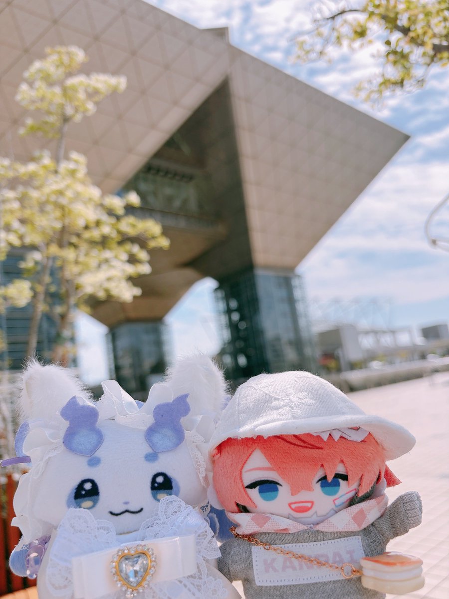 しゃけ🐶 tweet media