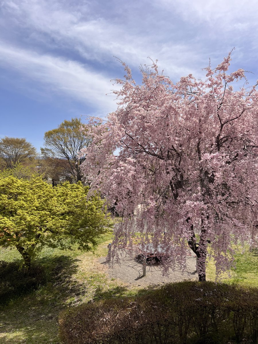 DaisukE KURATA（倉田大輔） tweet media