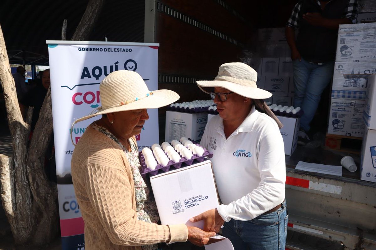 lalupa.mx tweet media