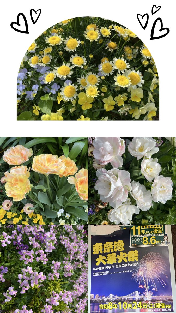 ＃LTでいっぱいに🌷🎉
東京湾の花火が11年ぶりに復活
するそうです🎉