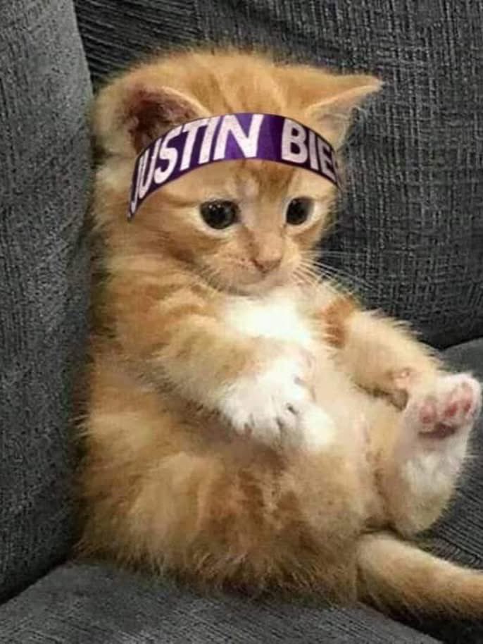 Jesús 🧸 tweet media